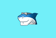 多媒体编解码器套件 Shark007 Codecs (v20.1.9 ) 便携版-猫知享