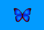 小巧精悍的数码照片浏览器 bkViewer (v7.9c） 绿色版-猫知享