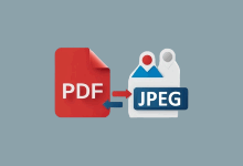ASCOMP PDF ImagerPDF Pro 转图片工具(v2.010)  便携版-猫知享